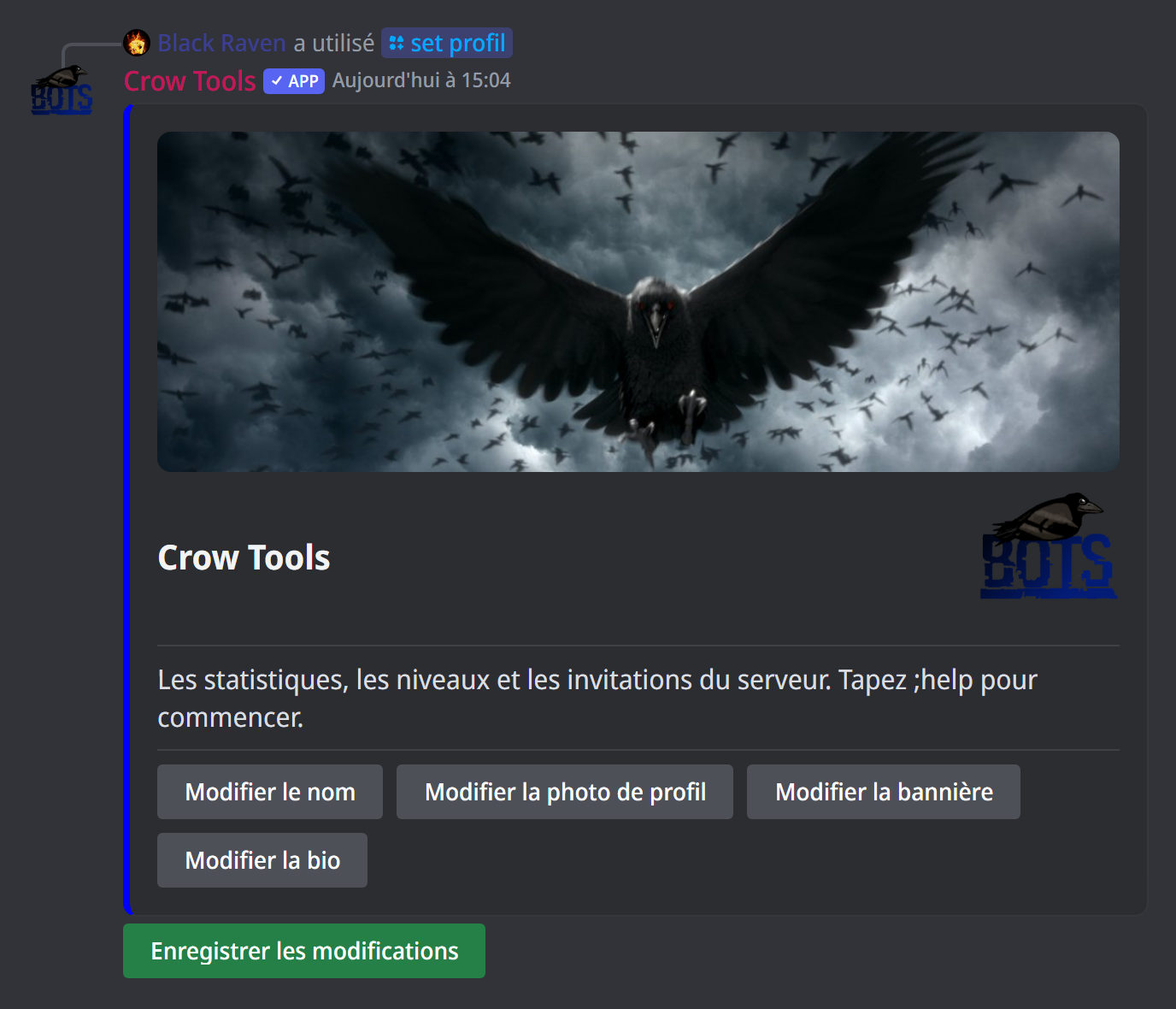 Le panneau du profil du bot